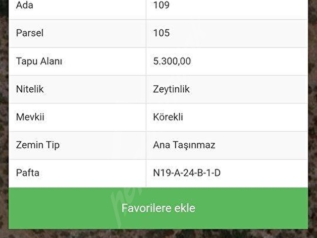 MİLAS AVŞAR MAHALLESİNDE 5300 M2 SATILIK ZEYTİNLİK - Görsel 2