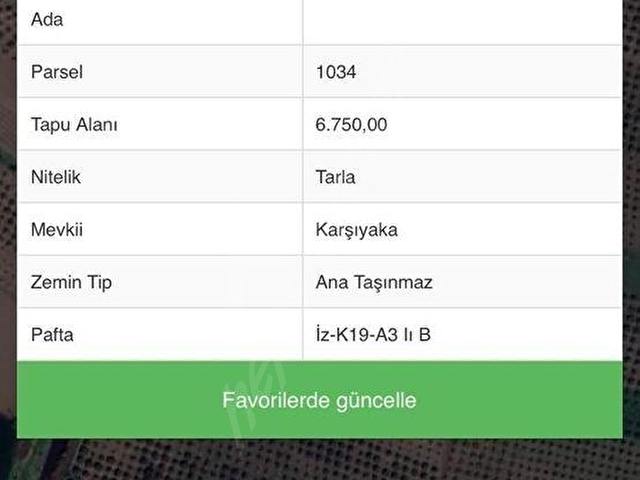 Akhisar Kapaklı Köyü Yatırımlık Satılık 6750 mt2 Zeytinlik - Görsel 10