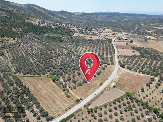 ALTIN EMLAKTAN AYVALIK TÜRKÖZÜ MAH. SATILIK 8504 M2 ZEYTİNLİK - Görsel 5