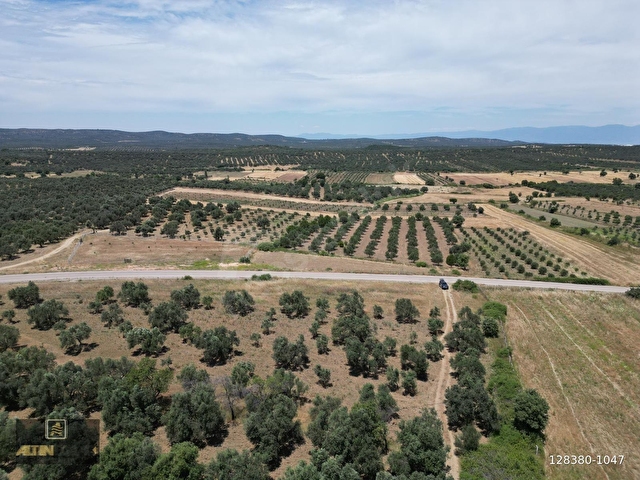 ALTIN EMLAKTAN AYVALIK TÜRKÖZÜ MAH. SATILIK 8504 M2 ZEYTİNLİK - Görsel 12