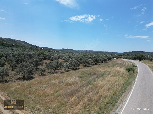 ALTIN EMLAKTAN AYVALIK TÜRKÖZÜ MAH. SATILIK 8504 M2 ZEYTİNLİK - Görsel 11
