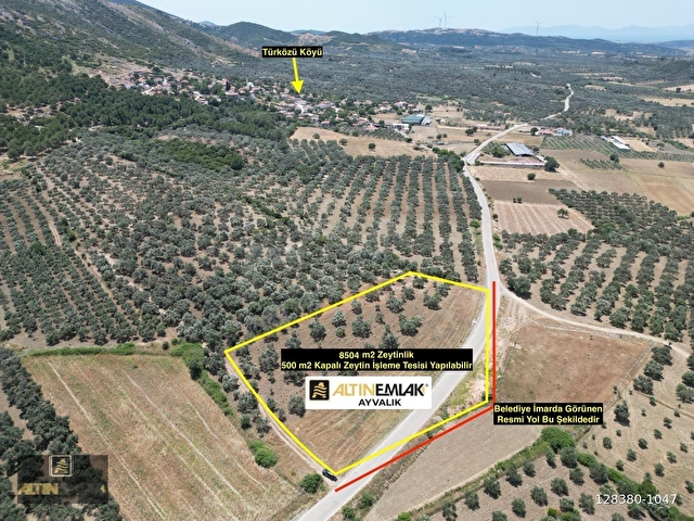 ALTIN EMLAKTAN AYVALIK TÜRKÖZÜ MAH. SATILIK 8504 M2 ZEYTİNLİK - Görsel 4