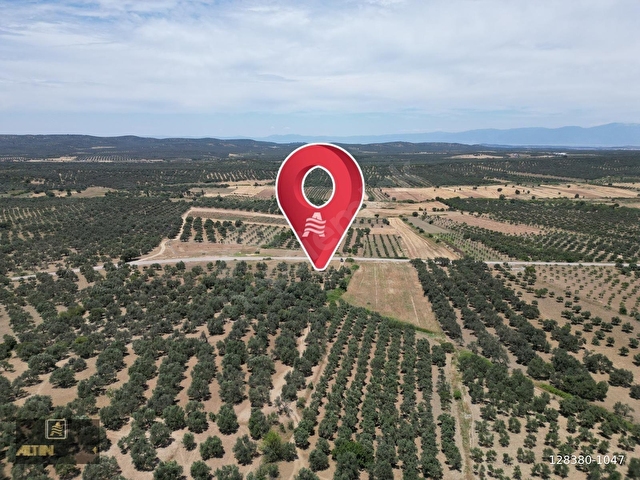 ALTIN EMLAKTAN AYVALIK TÜRKÖZÜ MAH. SATILIK 8504 M2 ZEYTİNLİK - Görsel 8