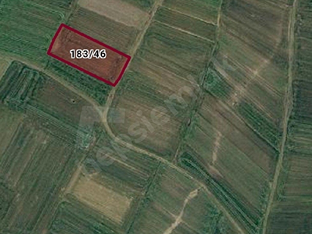 PINARHİSAR İLÇESİ SÜTLÜÇE KÖYÜNDE 2.542 m2 SATILIK - Görsel 3