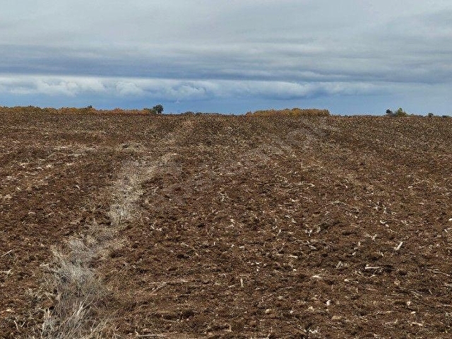 PINARHİSAR İLÇESİ SÜTLÜÇE KÖYÜNDE 2.542 m2 SATILIK - Görsel 7