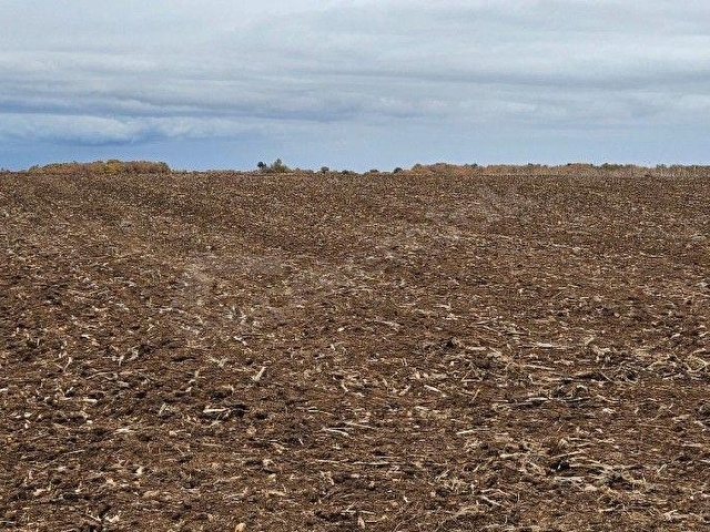 PINARHİSAR İLÇESİ SÜTLÜÇE KÖYÜNDE 2.542 m2 SATILIK - Görsel 8