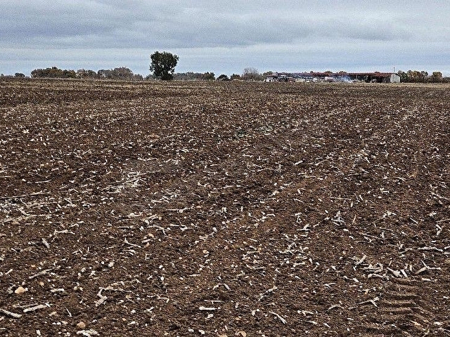 PINARHİSAR İLÇESİ SÜTLÜÇE KÖYÜNDE 2.542 m2 SATILIK - Görsel 14