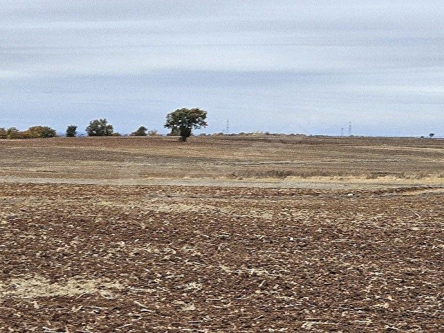 PINARHİSAR İLÇESİ SÜTLÜÇE KÖYÜNDE 2.542 m2 SATILIK - Görsel 18