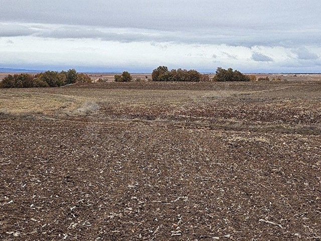PINARHİSAR İLÇESİ SÜTLÜÇE KÖYÜNDE 2.542 m2 SATILIK - Görsel 26