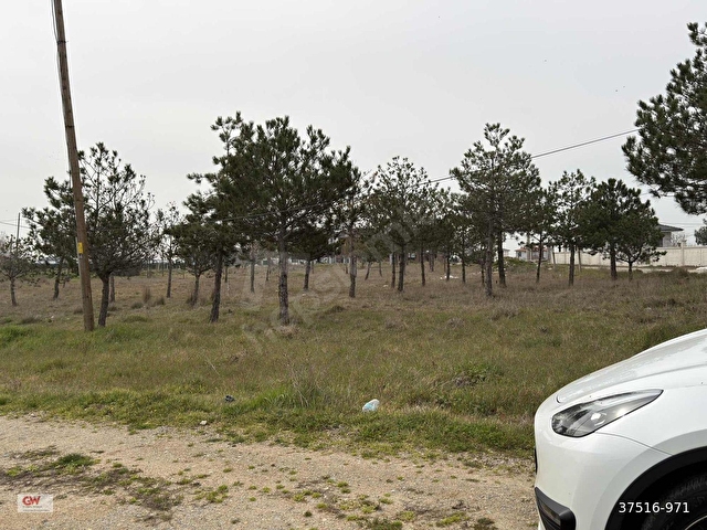 TEKİRDAĞ SARAY ÇAYLA MAH.İMARLI İFRAZLI 700m2 ACİL SATILIK ARSA - Görsel 11