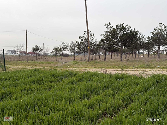 TEKİRDAĞ SARAY ÇAYLA MAH.İMARLI İFRAZLI 700m2 ACİL SATILIK ARSA - Görsel 10
