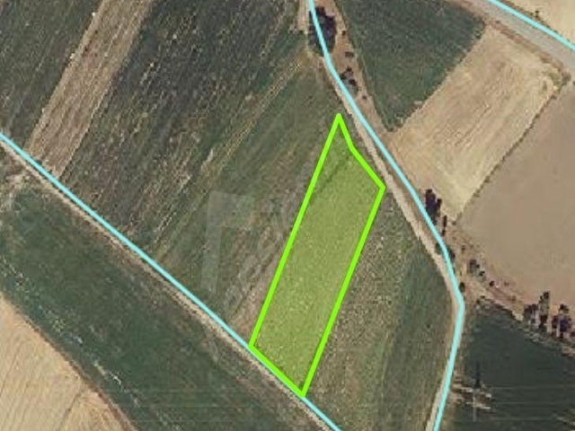 KARACA GAYRİMENKULDEN SATILIK 4970 M2 TARLA KOCASİNAN DADAĞI - Görsel 4