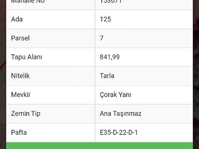 GÖRGEÇ EMLAKTAN FUUL DOĞA MANZARALI TARLA - Görsel 11