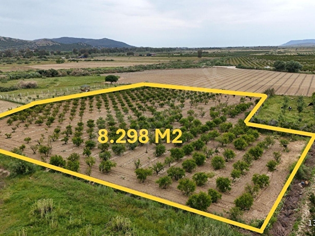 550 NAR AĞAÇLI, GELİRİ YÜKSEK 8.298 M2 ÖZEL BAHÇE - Görsel 2