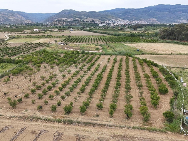 550 NAR AĞAÇLI, GELİRİ YÜKSEK 8.298 M2 ÖZEL BAHÇE - Görsel 7