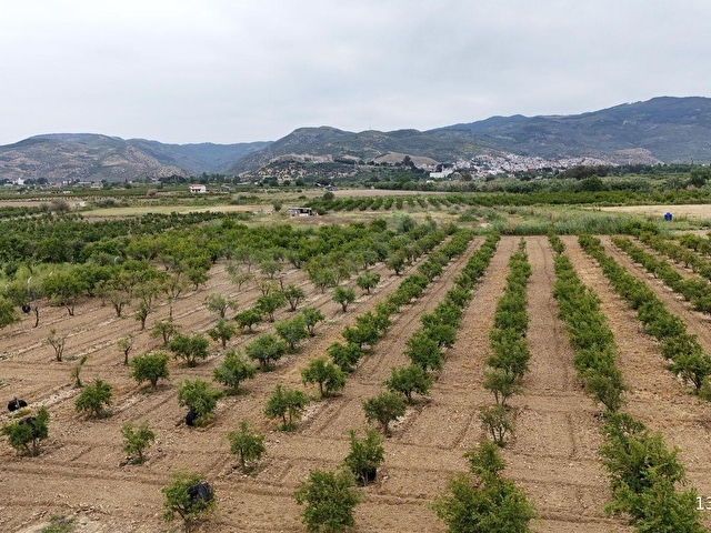 550 NAR AĞAÇLI, GELİRİ YÜKSEK 8.298 M2 ÖZEL BAHÇE - Görsel 17