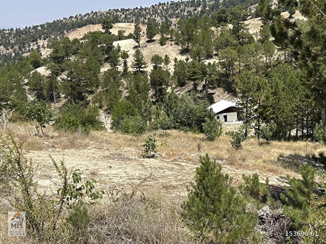 Fethiyeye 1 Saat Mesafede Panoramik Manzaralı 1.293 m2 Tarla - Görsel 12