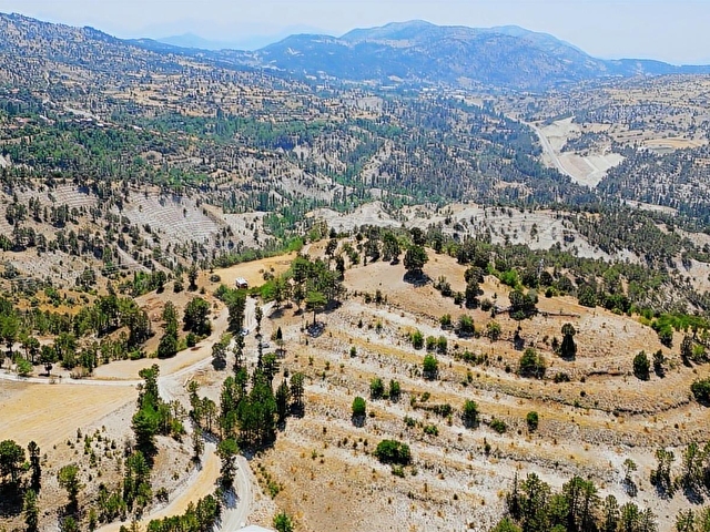 Fethiyeye 1 Saat Mesafede Panoramik Manzaralı 1.293 m2 Tarla - Görsel 10