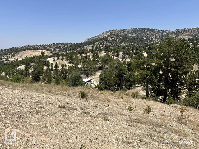 Fethiyeye 1 Saat Mesafede Panoramik Manzaralı 1.293 m2 Tarla - Görsel 26