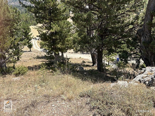 Fethiyeye 1 Saat Mesafede Panoramik Manzaralı 1.293 m2 Tarla - Görsel 17