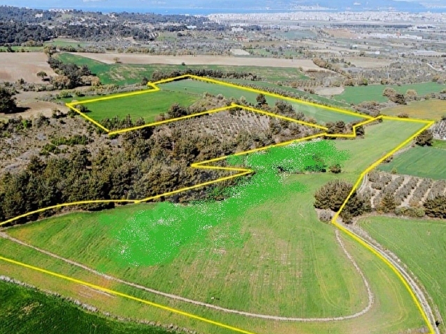 FIRSAT SATILIK SARICAELİ 500 MT KOOPERATİF HİSSESİ - Görsel 2