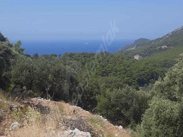 DALAMAN KAPIKARGIN MAH,10,500M2 ARAZİ - Görsel 9
