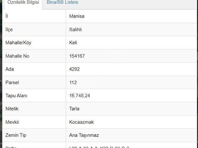 Salihli Keli Mahallesi Satılık Tarla - Görsel 2