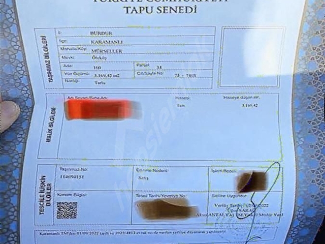 Mürsellerde Köye yakın - Görsel 2