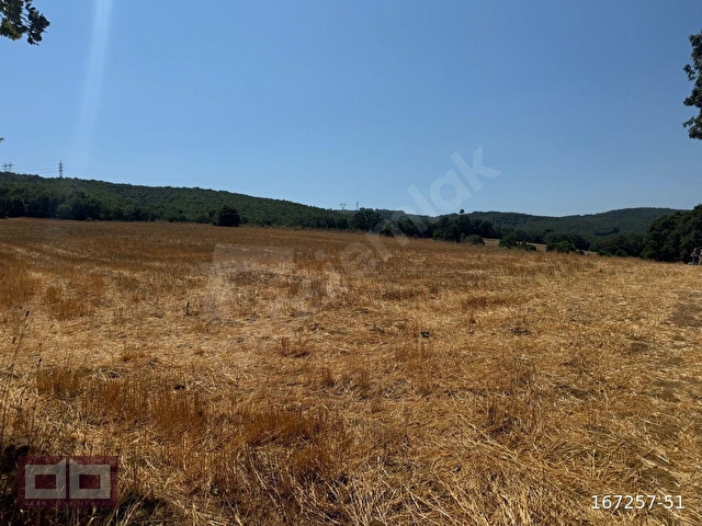 ÇANAKKALE ÇELTİK 7200 M2 TEK TAPU SATILIK - Görsel 13