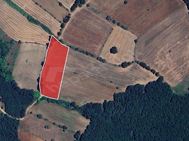 ÇANAKKALE ÇELTİK 7200 M2 TEK TAPU SATILIK - Görsel 4