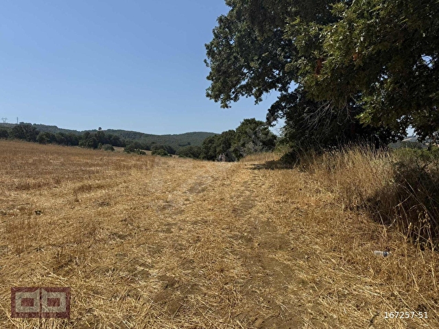 ÇANAKKALE ÇELTİK 7200 M2 TEK TAPU SATILIK - Görsel 8