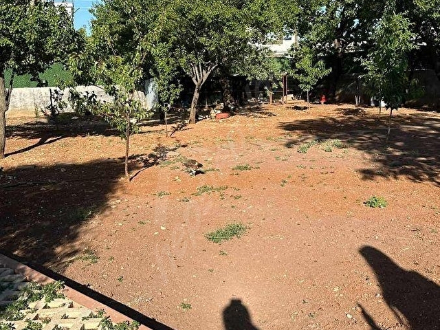 BURÇ ESENTEPEDe KAÇIRILMIYACAK FIRSAT - Görsel 18