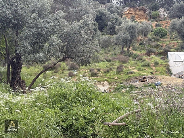 İHSANİYEDE SATILIK ARSA - Görsel 6