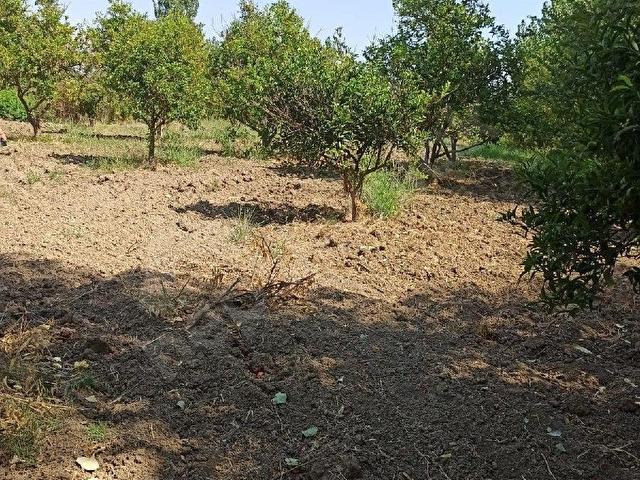 Ortaca Fevziye mah içinde termal su satılık tarla - Görsel 11