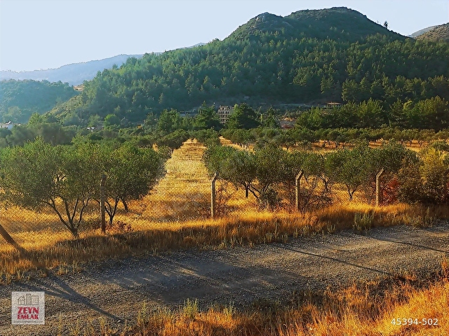 HAVAALANI PLAJ İZBAN 22km YOLCEPHE250m 40Dönüm TARLA ZEYTİNLİK - Görsel 12