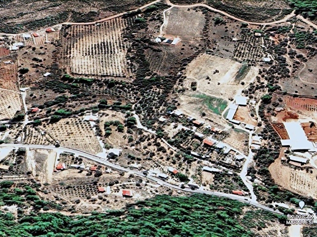 HAVAALANI PLAJ İZBAN 22km YOLCEPHE250m 40Dönüm TARLA ZEYTİNLİK - Görsel 28