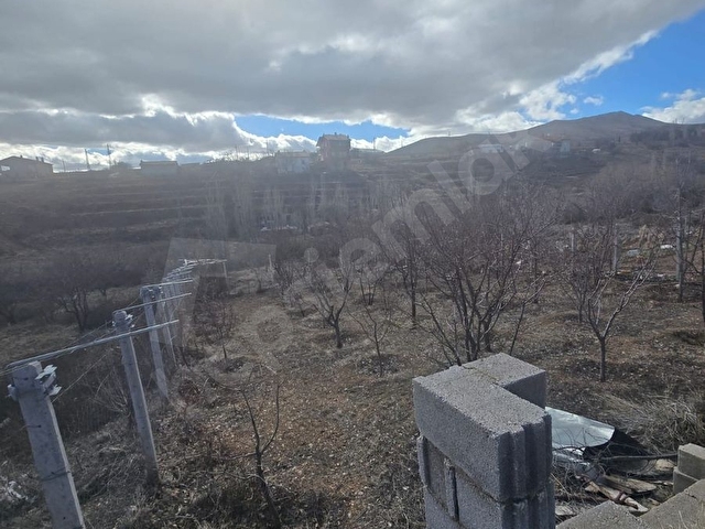 SIZMA MOLLA BAĞLARI İÇİNDE EVİ VE 30-40 ADET AĞAÇ BULUNAN BAHÇE. - Görsel 13