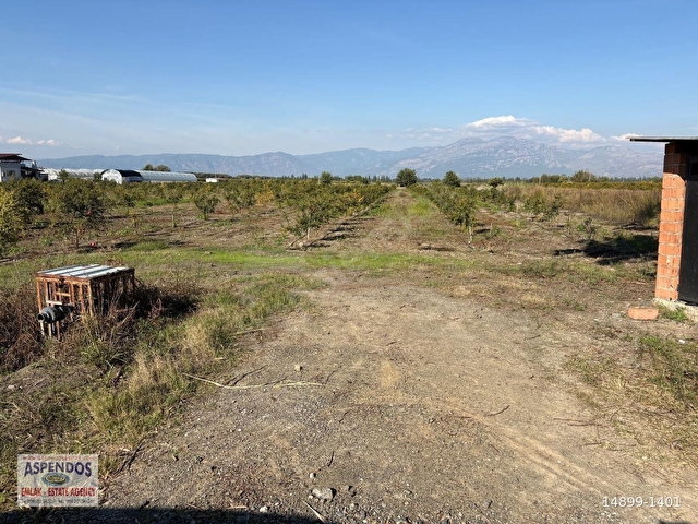Eskiköyde 21500M2 Satılık Nar Bahçesi - Görsel 18