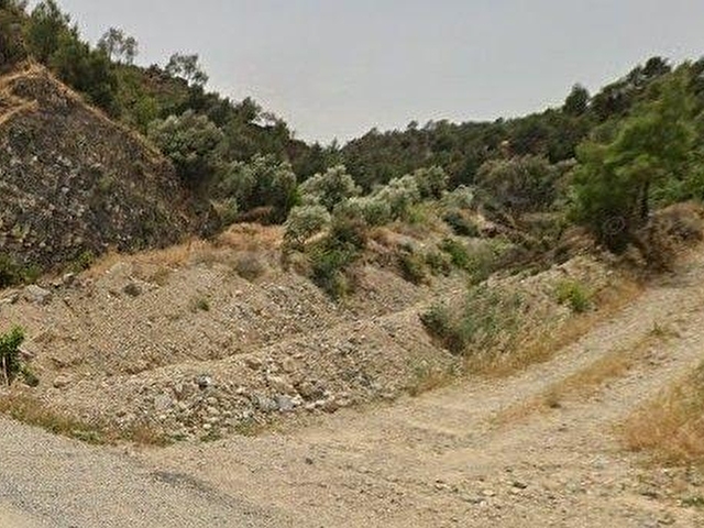 SATILIK YILLIK 20 TON VERİMLİ, ELEKTRİKLİ, SULAMALI ZEYTİNLİK - Görsel 11