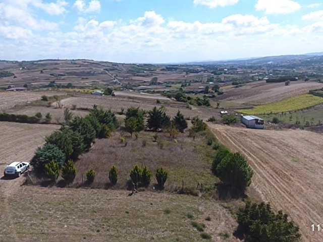 Catalca Canakca Mah Tek Tapu 1470 M2 Telle Cevrili Satilik Arsa 113648 236 Hurriyet Emlak