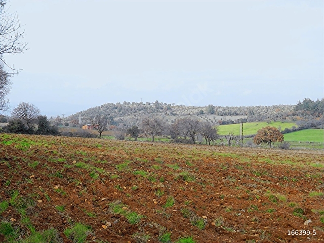 BAYRAMİÇ KUTLUOBADA TOPLU KONUT YAPIMINA UYGUN SATILIK ARSA - Görsel 3