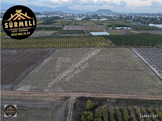 DEPO EV FİDELİK  SERA YERİ  TAM KARE ARAZİ TARLA 15804 M2 ABDURRAHMANLAR - Görsel 7