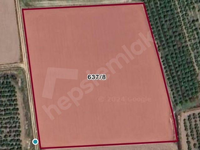 DEPO EV FİDELİK  SERA YERİ  TAM KARE ARAZİ TARLA 15804 M2 ABDURRAHMANLAR - Görsel 27