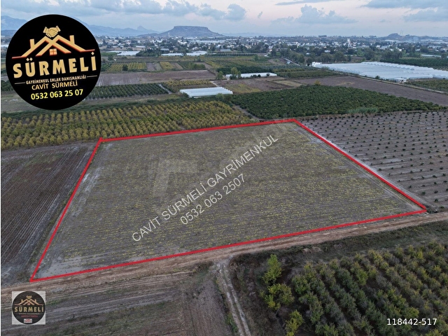DEPO EV FİDELİK  SERA YERİ  TAM KARE ARAZİ TARLA 15804 M2 ABDURRAHMANLAR - Görsel 6