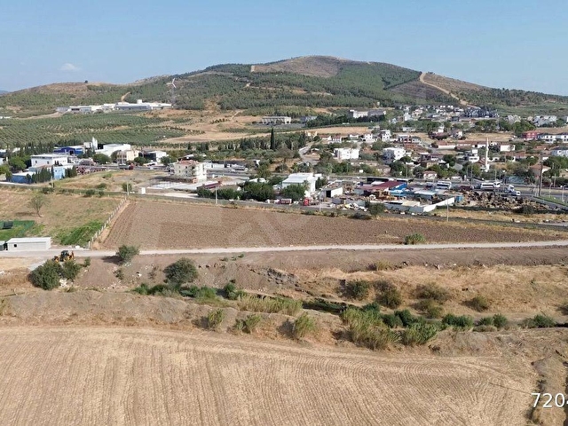 Akhisar Doğuca’da 2600 m2 Satılık Tek Tapu Zeytinlik - Görsel 13