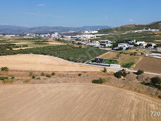 Akhisar Doğuca’da 2600 m2 Satılık Tek Tapu Zeytinlik - Görsel 12
