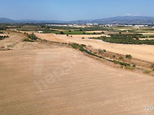 Akhisar Doğuca’da 2600 m2 Satılık Tek Tapu Zeytinlik - Görsel 16