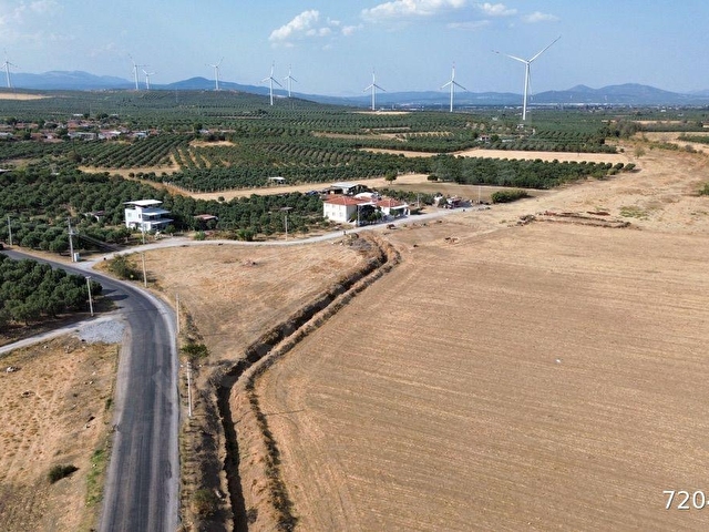 Akhisar Doğuca’da 2600 m2 Satılık Tek Tapu Zeytinlik - Görsel 17