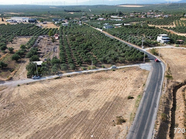 Akhisar Doğuca’da 2600 m2 Satılık Tek Tapu Zeytinlik - Görsel 18