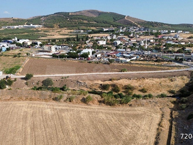 Akhisar Doğuca’da 2600 m2 Satılık Tek Tapu Zeytinlik - Görsel 19
